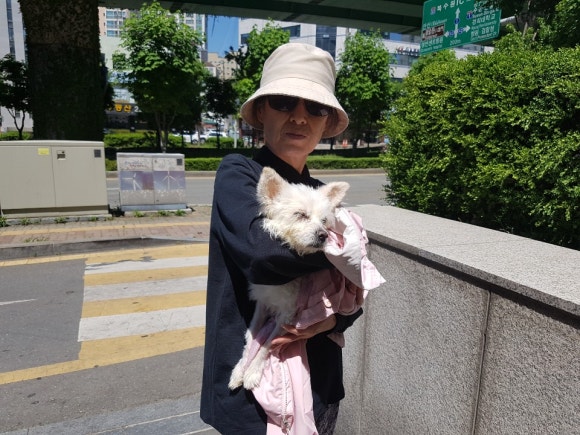 순심이 이미지