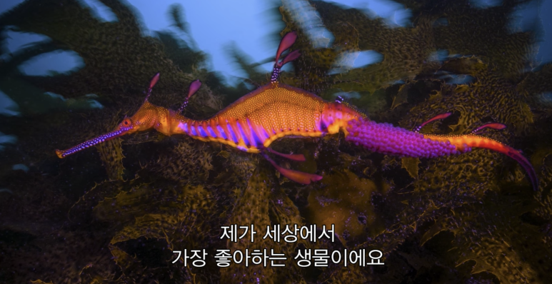 해룡잠수 이미지