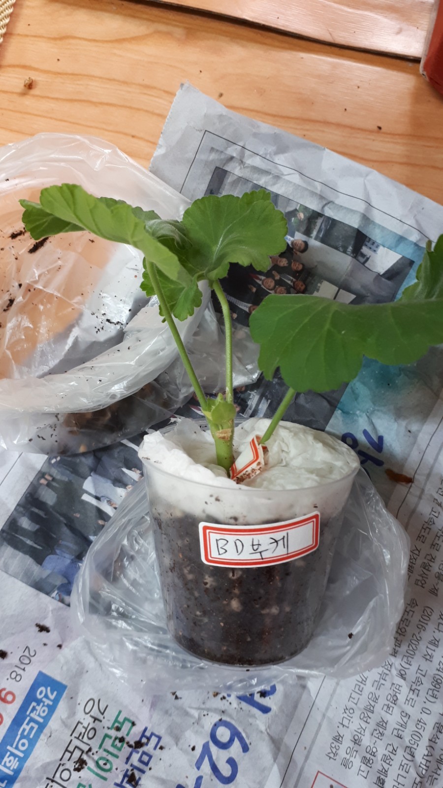 스마일택배포장 이미지