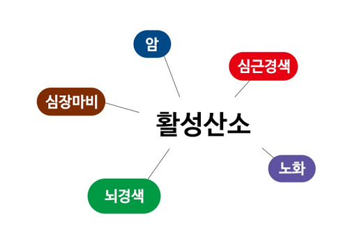 청담피트니스 이미지