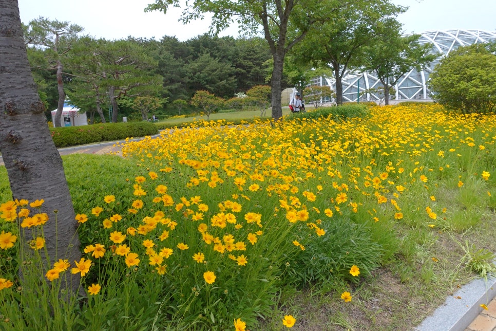 장미원 이미지