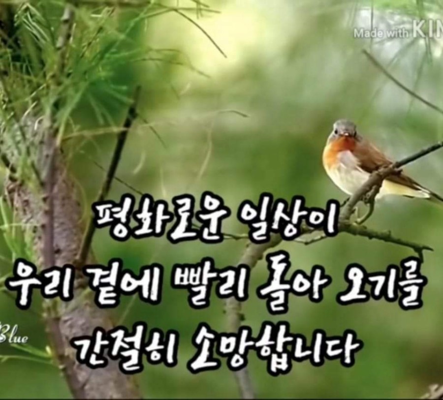 동방유통 이미지
