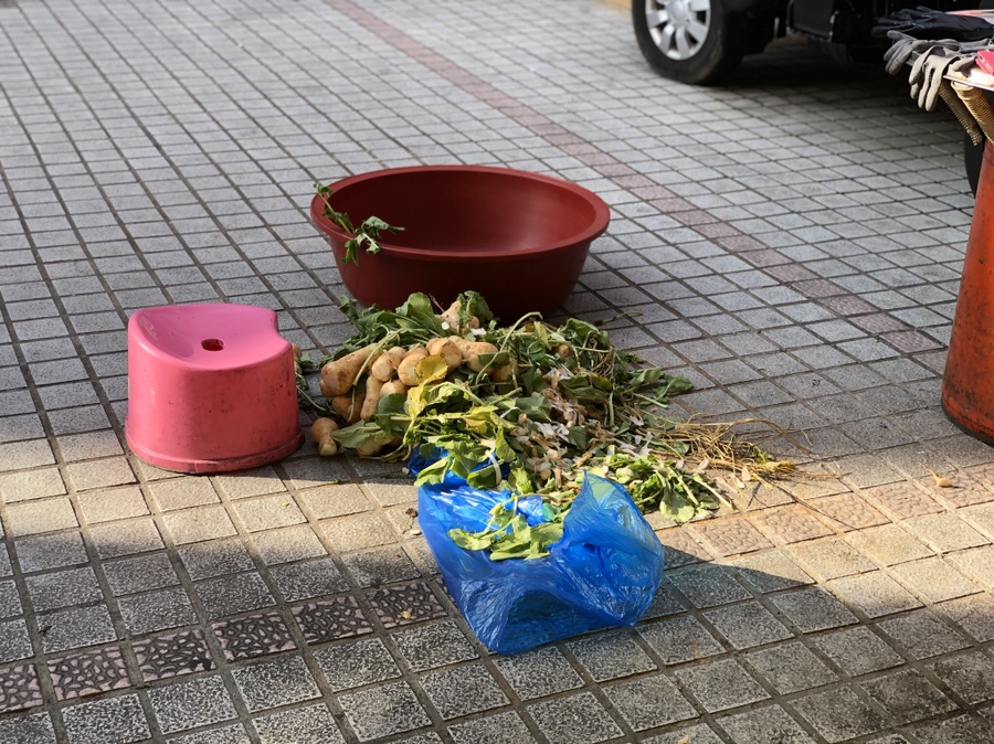 라쑤쑤 이미지