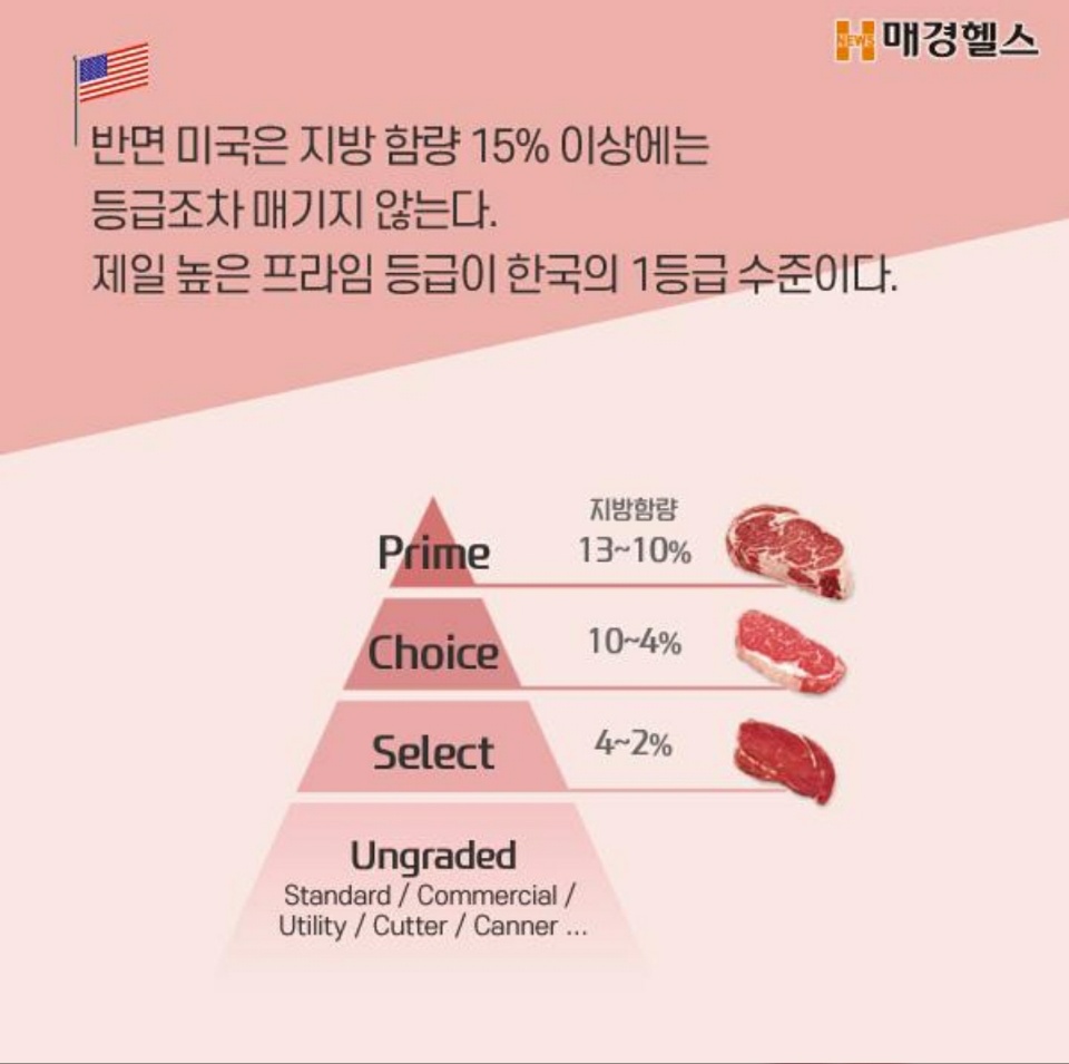꽃보다 등심 이미지
