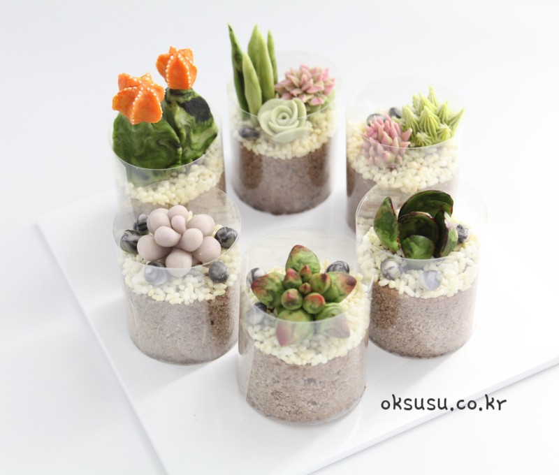 라이스스튜디오 이미지