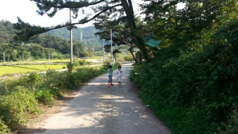 워시블랑 이미지