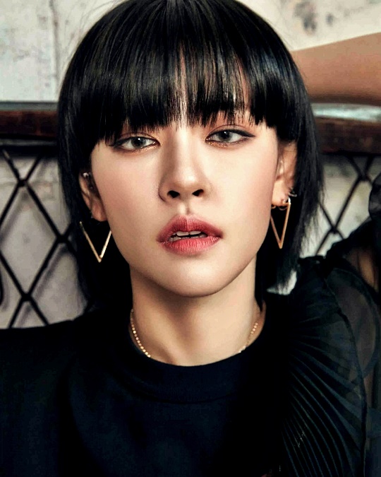 스타일미야 이미지