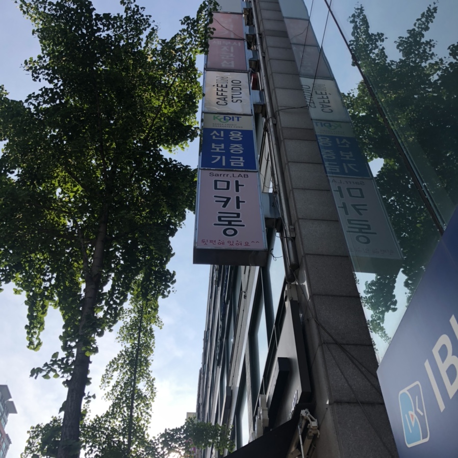 사르르르랩(Sarrr-LAB) 이미지