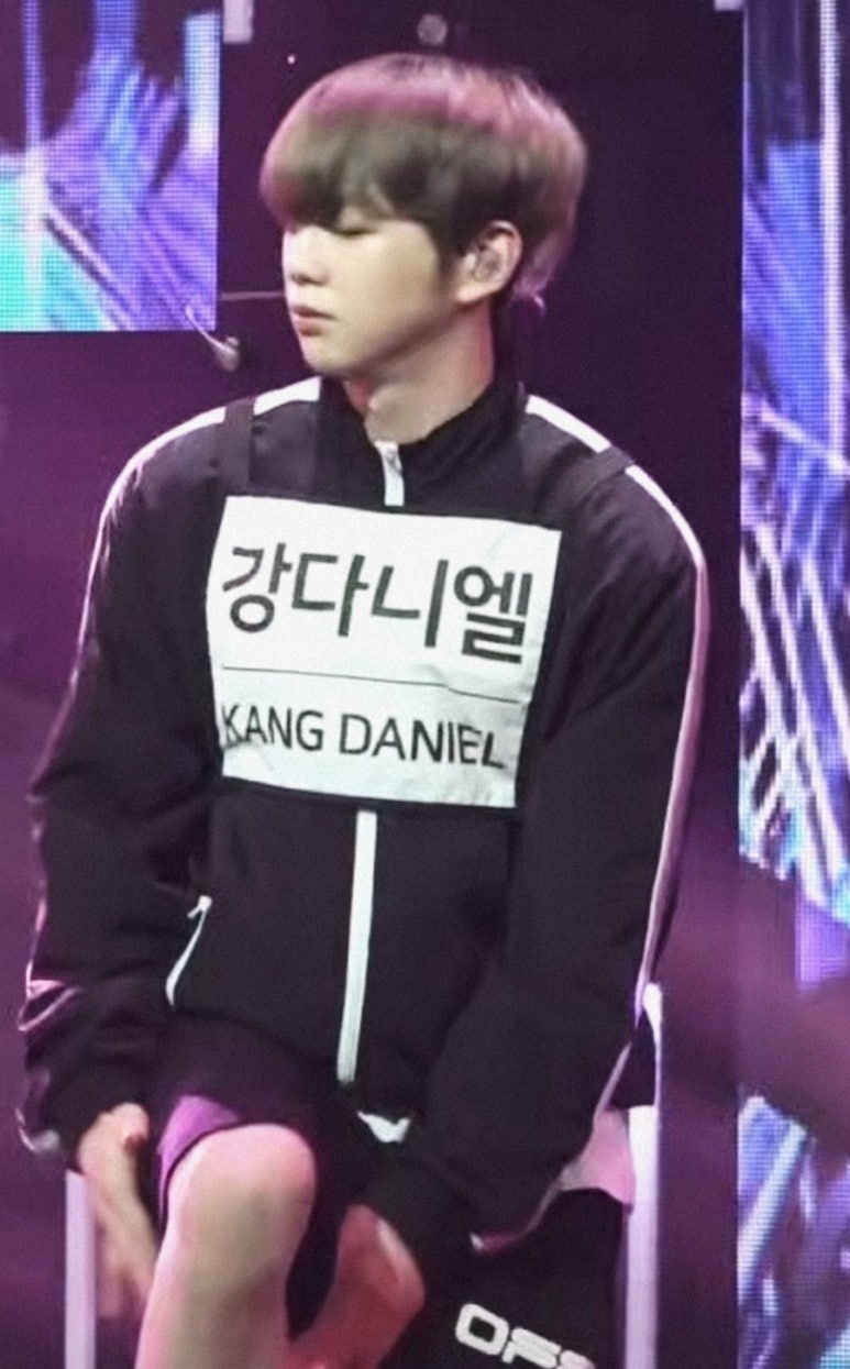 위디즈 이미지