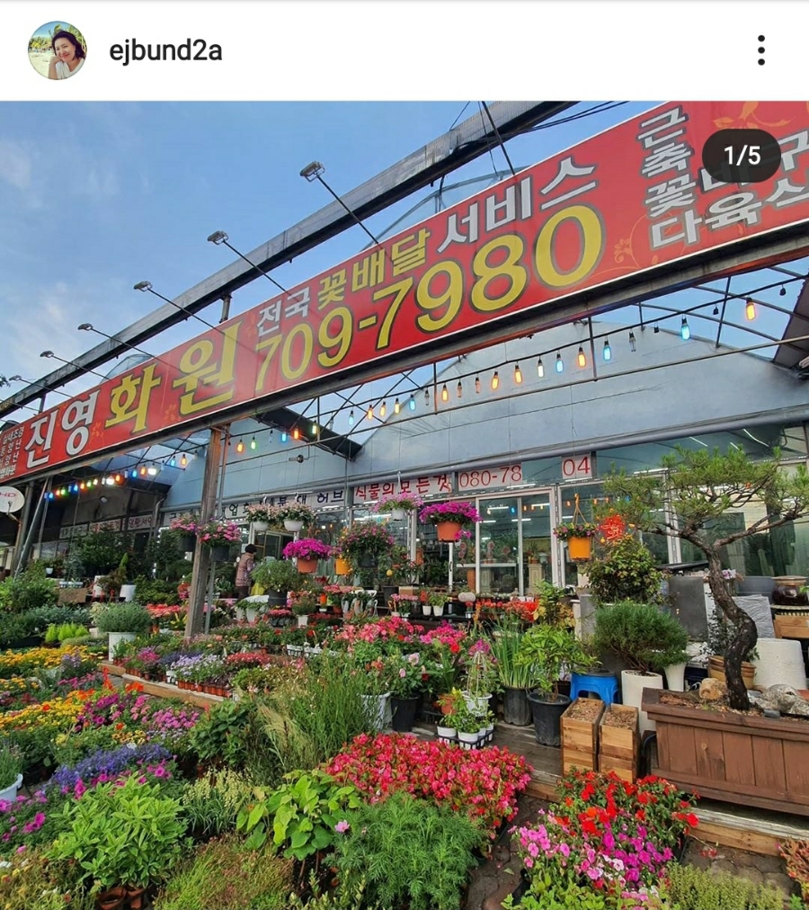 진영화원 이미지