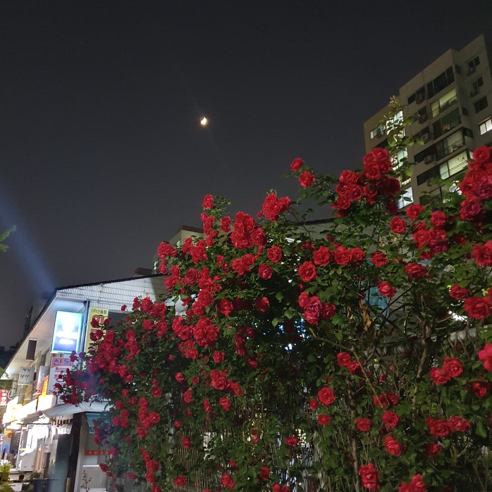 빽다방목동41 이미지