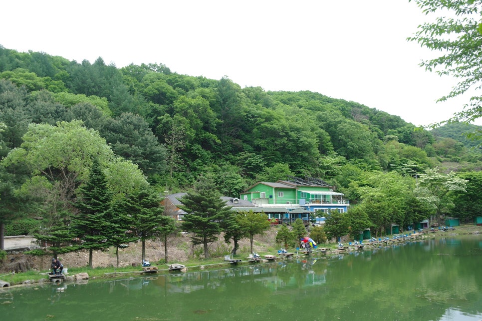 비학농원 캠핑장 이미지