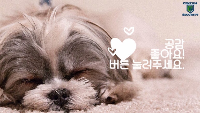 센텀보안정보통신 이미지