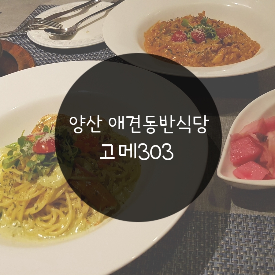 고메303 이미지