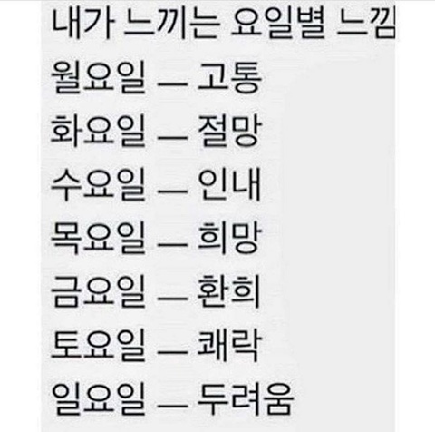 우리는분위기를사랑해 이미지