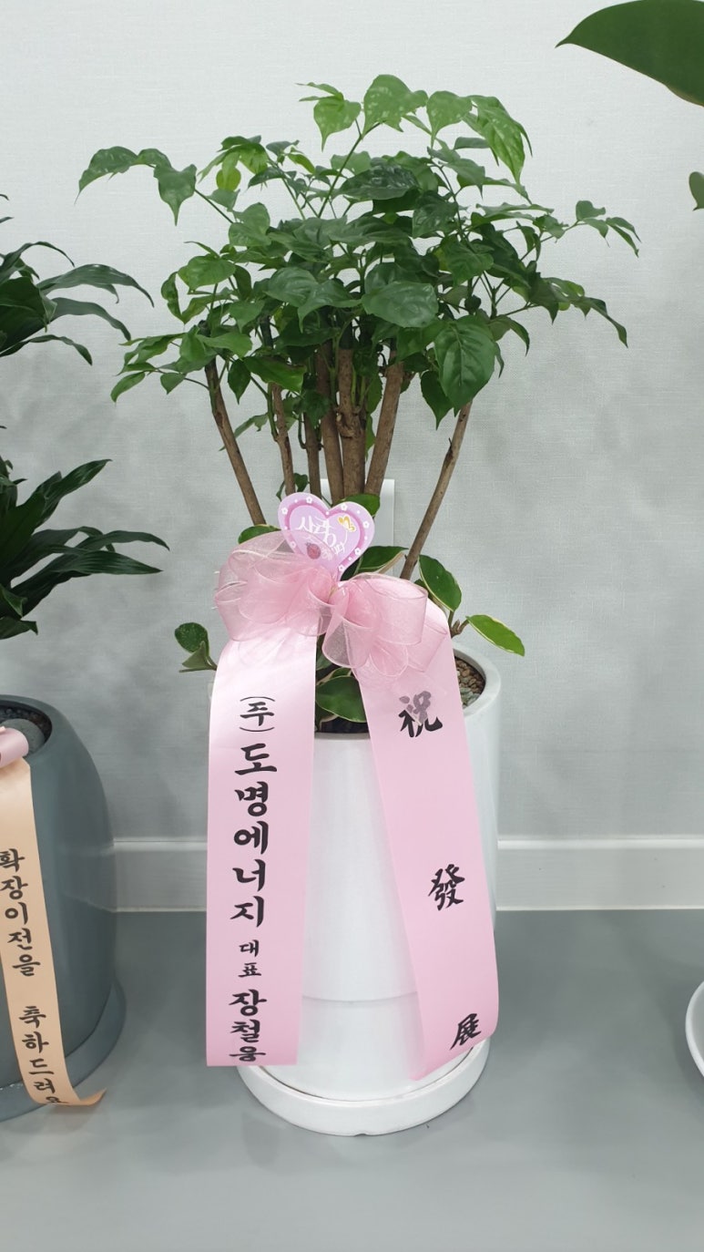 도명에너지 이미지