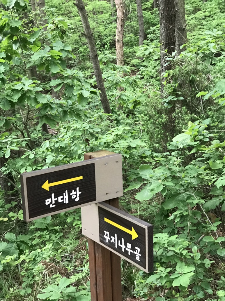 바다바라길 이미지