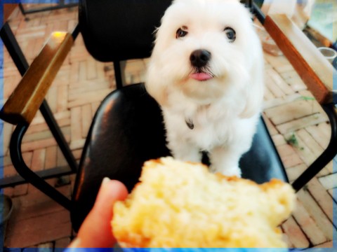 칠곡상회 이미지