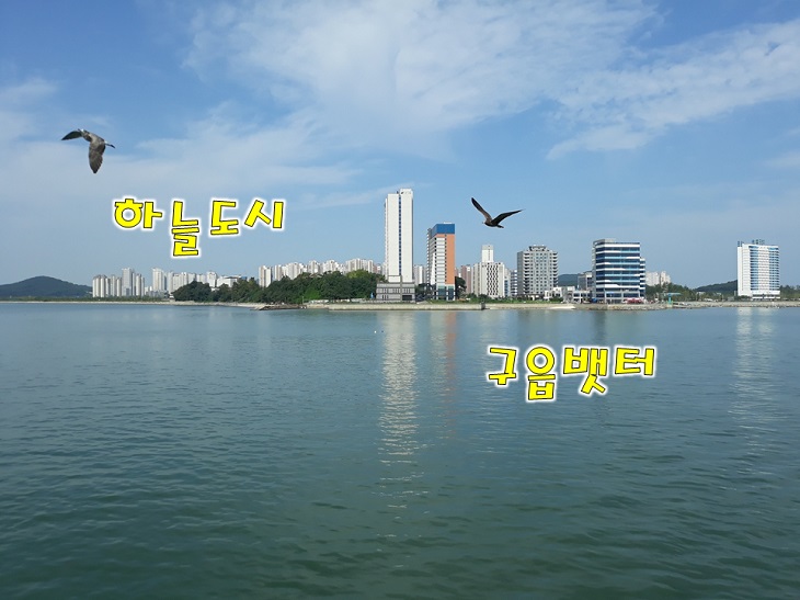 바다음식점 이미지