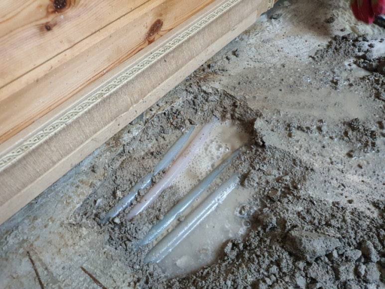 긴급119설비탐지누수 이미지