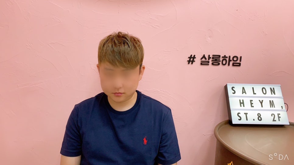 하임 염색 이미지