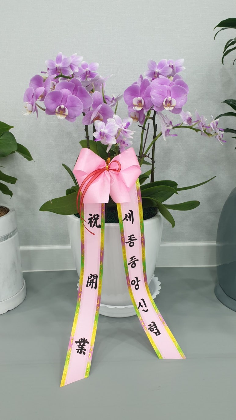 도명에너지 이미지