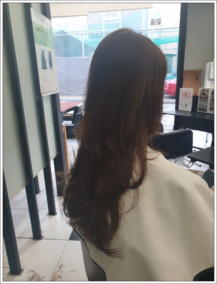 싹퉁머리 이미지