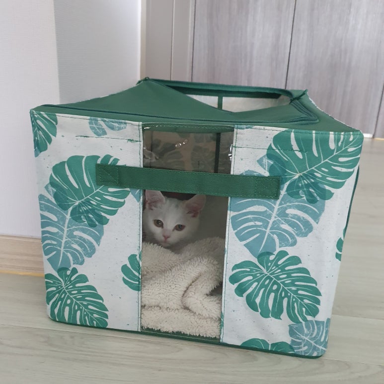 주식회사 코엘 이미지