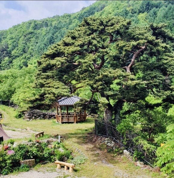 물한계곡소나무펜션캠핑장 이미지