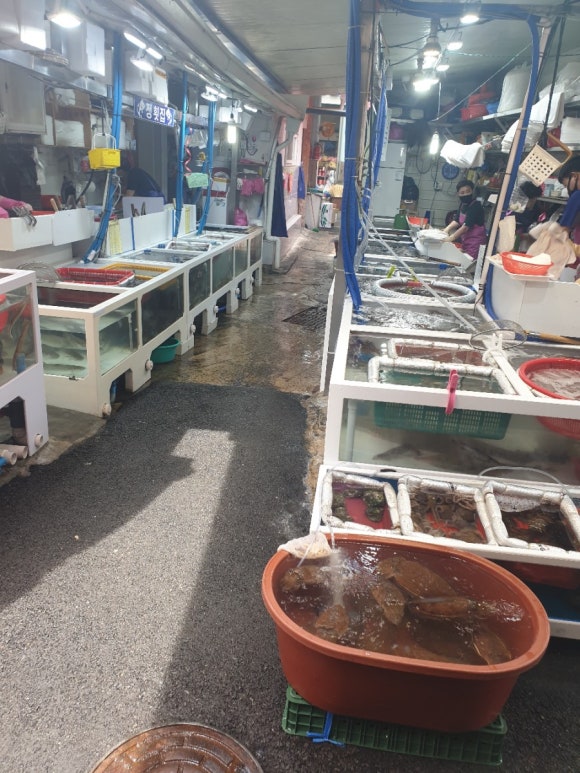 수암할매횟집 이미지