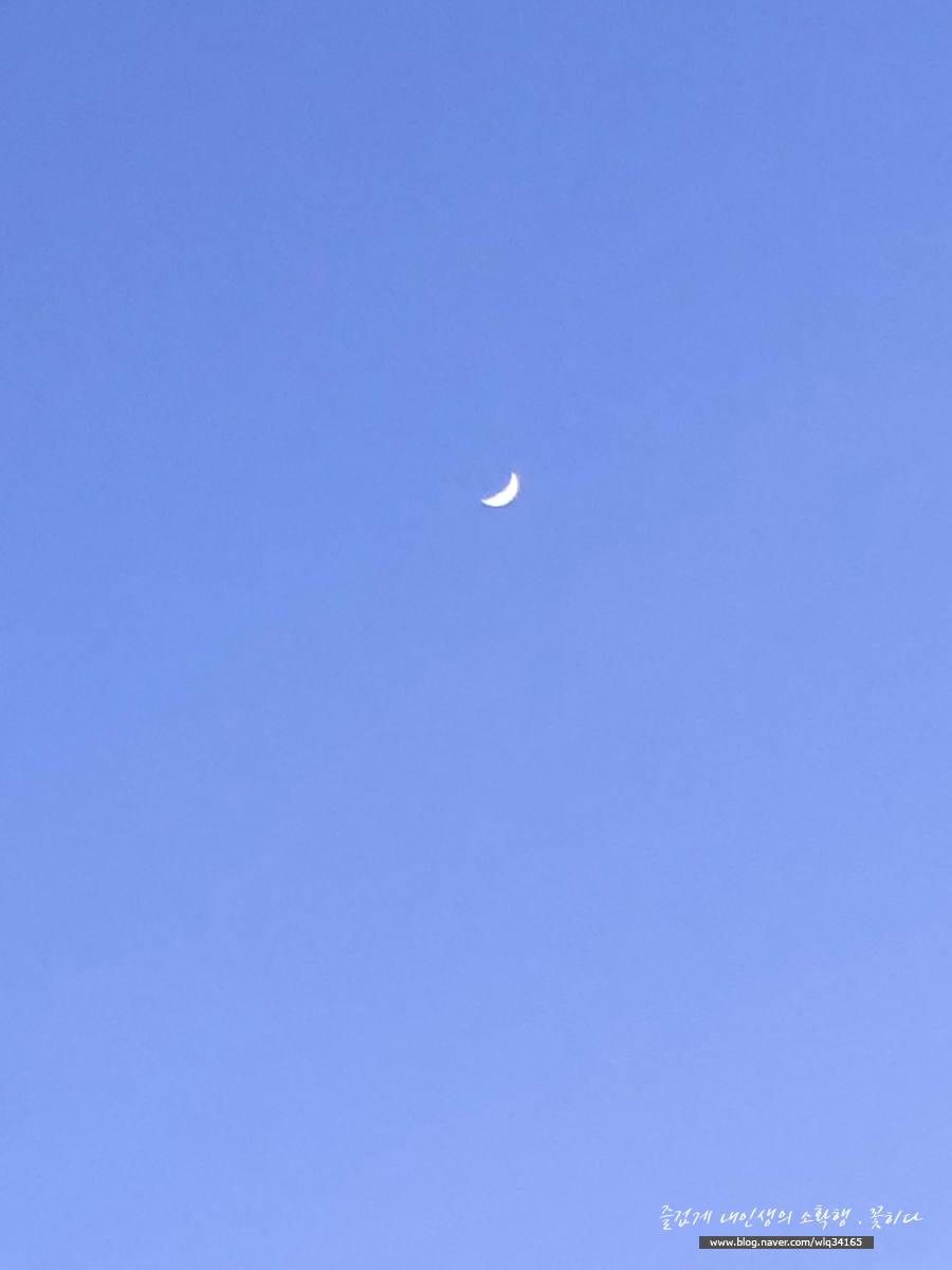 선상바베큐 이미지