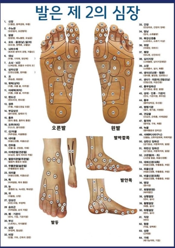 라파휴 이미지