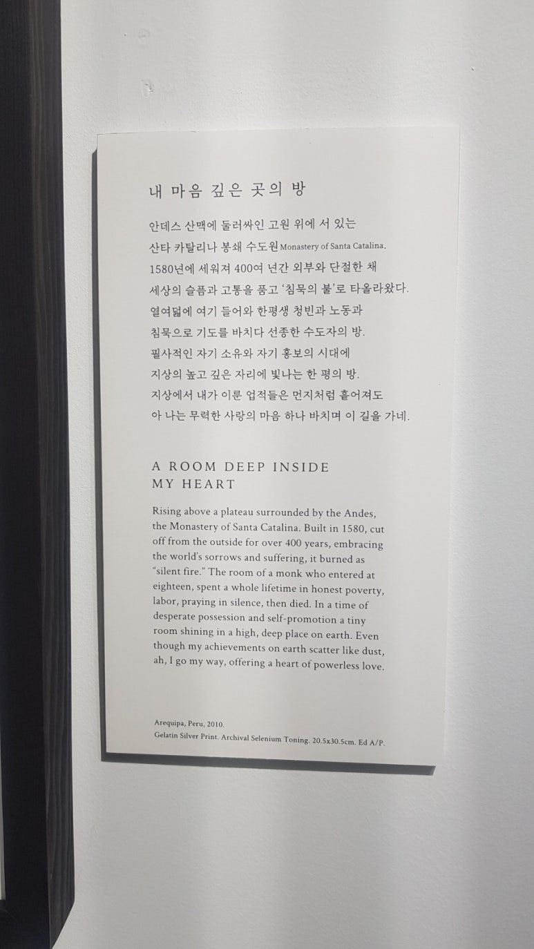 라갤러리 이미지
