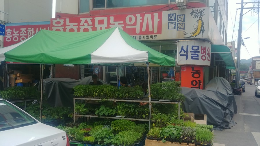 흥농종묘 이미지