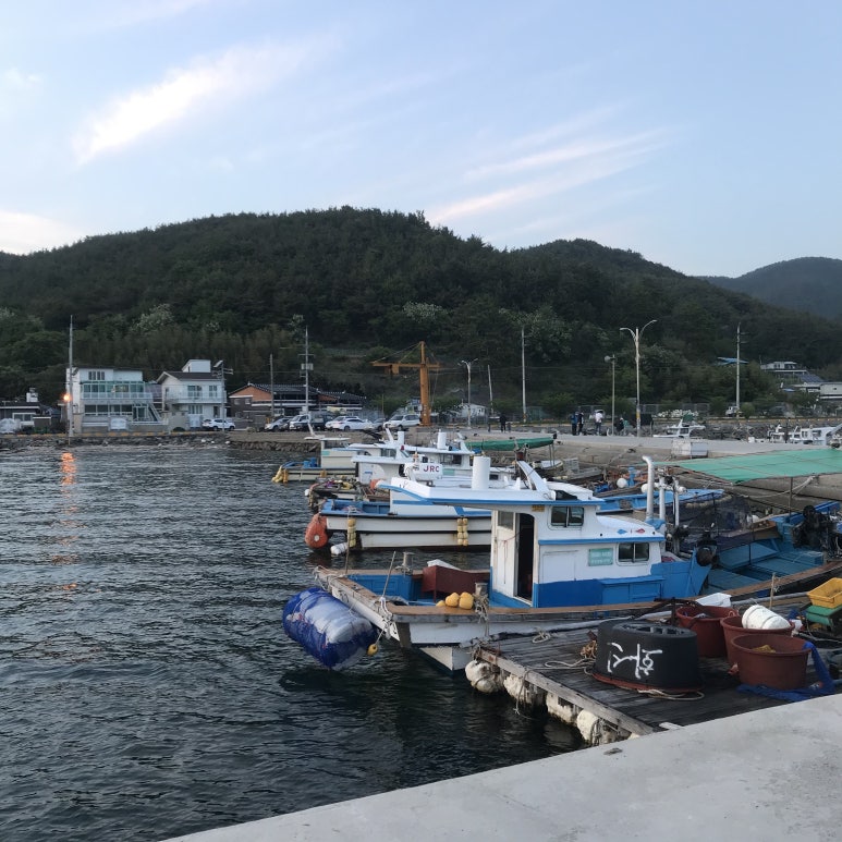 진동돌장어 이미지