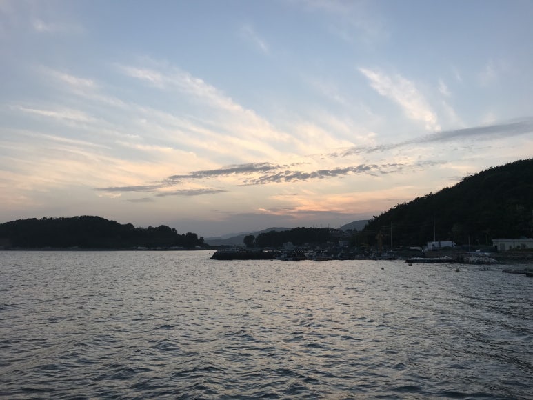 진동돌장어 이미지