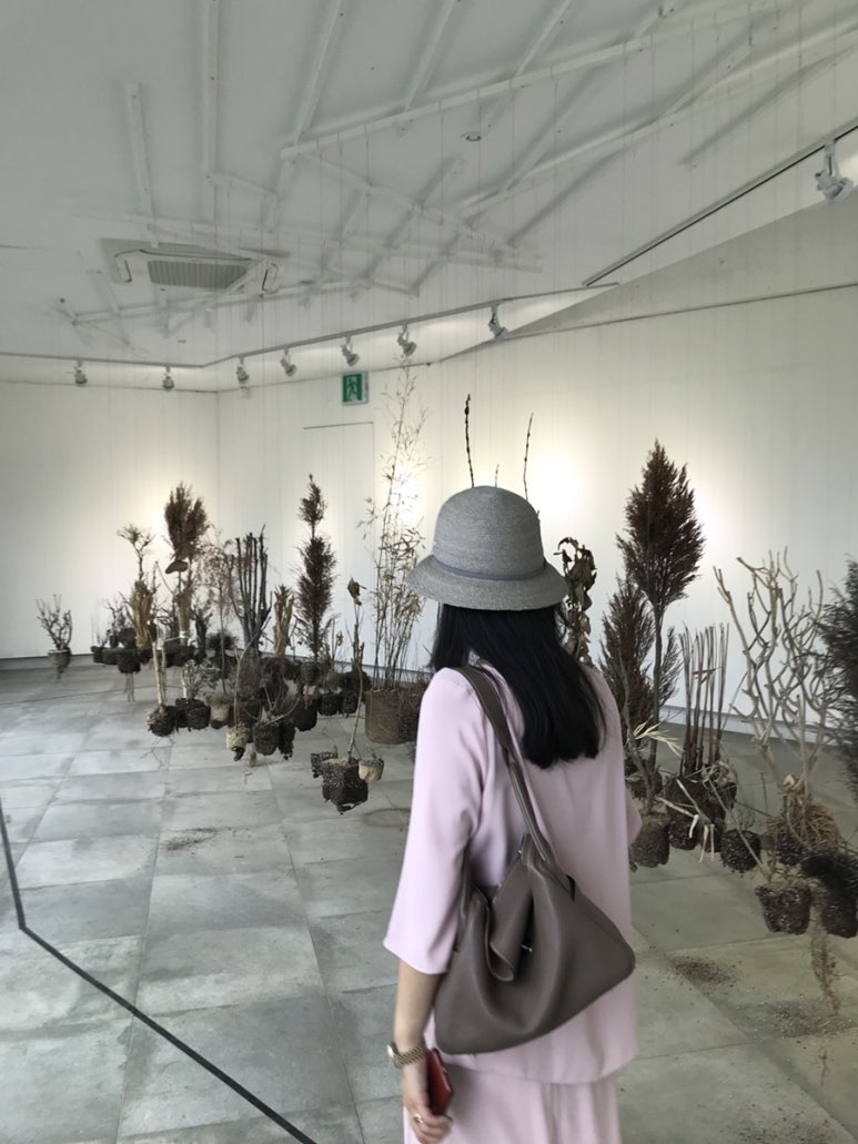 디오티 이미지