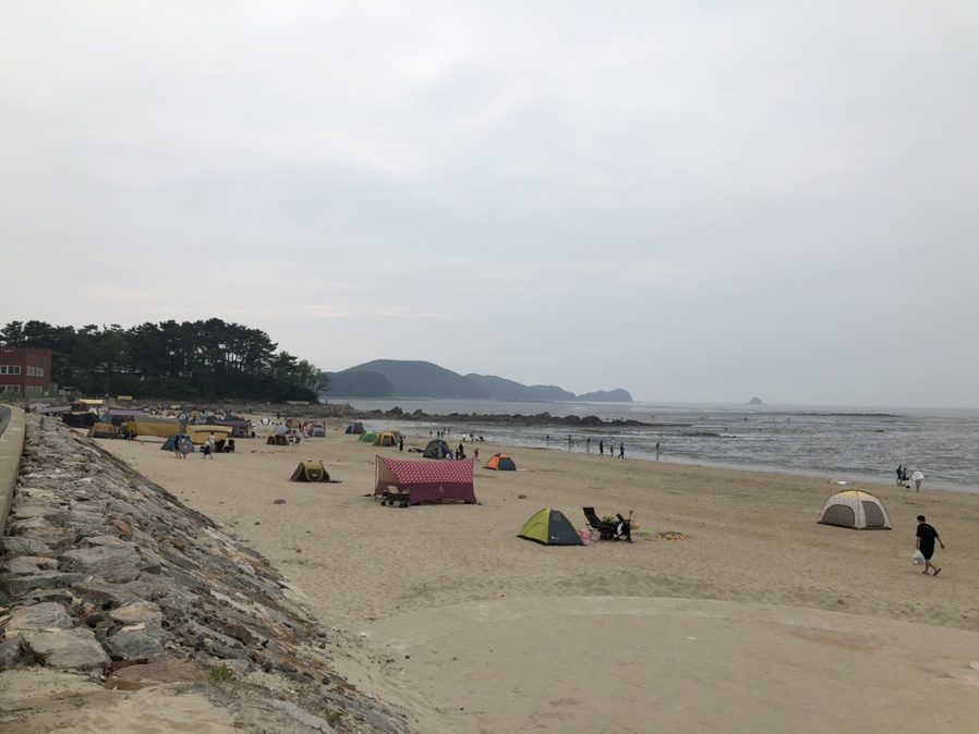 개딱종합어시장 이미지