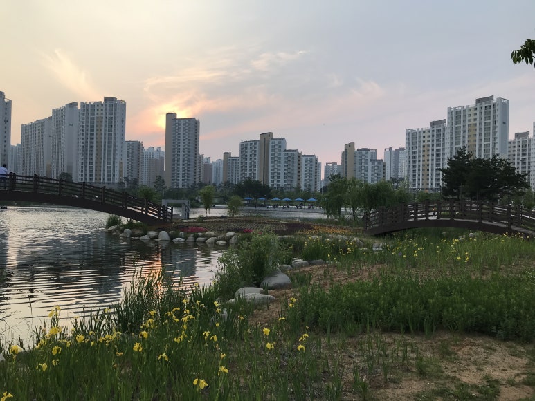 호수공원사거리 이미지