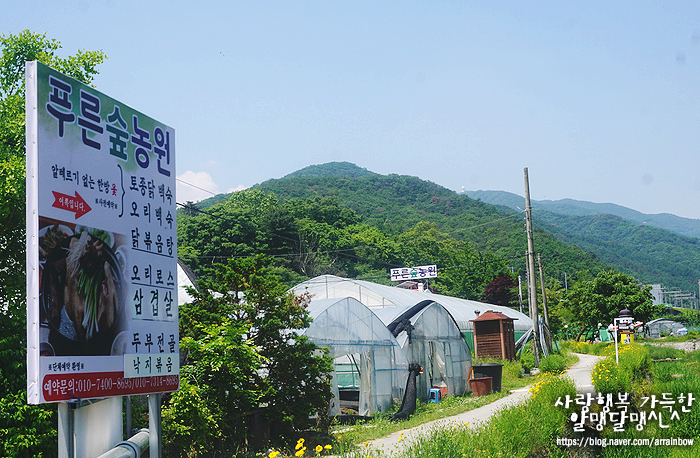 푸른숲농원 이미지