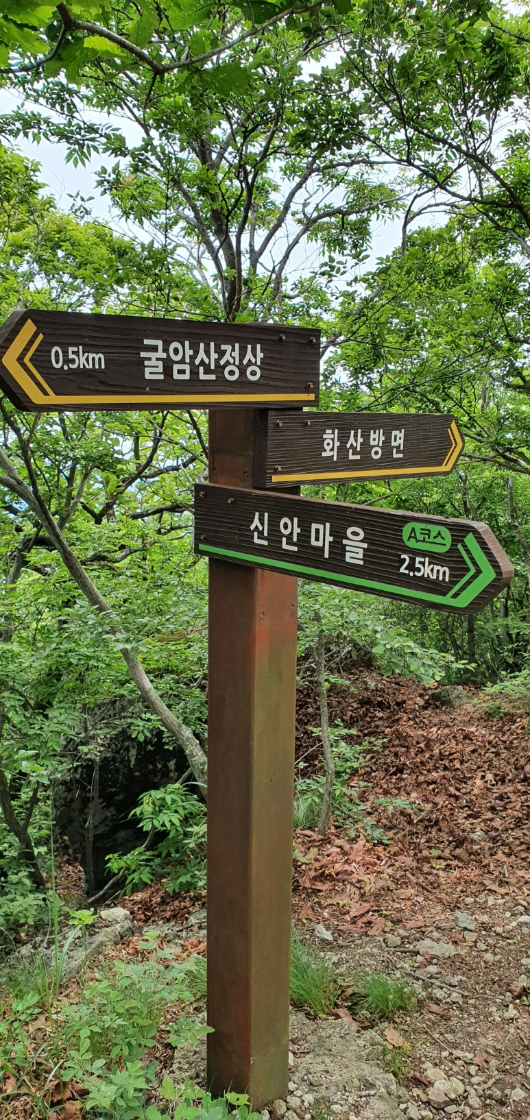 코스플러스 이미지