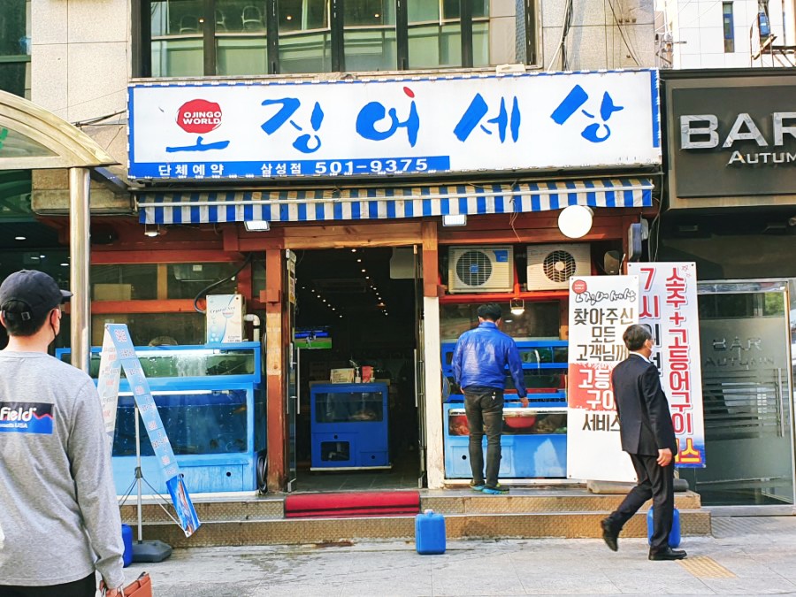 오징어세상 이미지