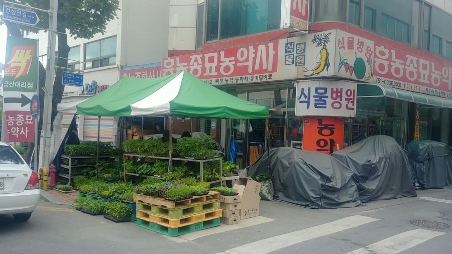 흥농종묘 이미지