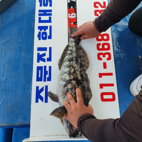 오가네건어물 이미지