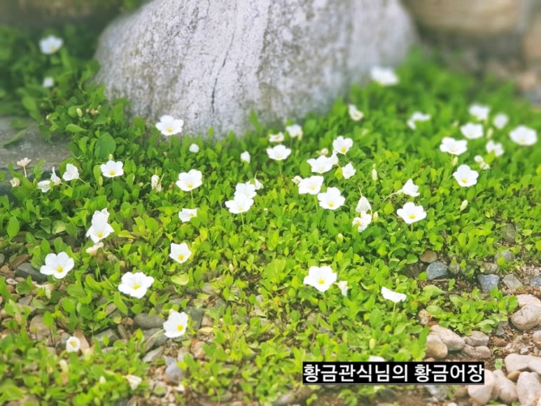 티하우스명륜 이미지