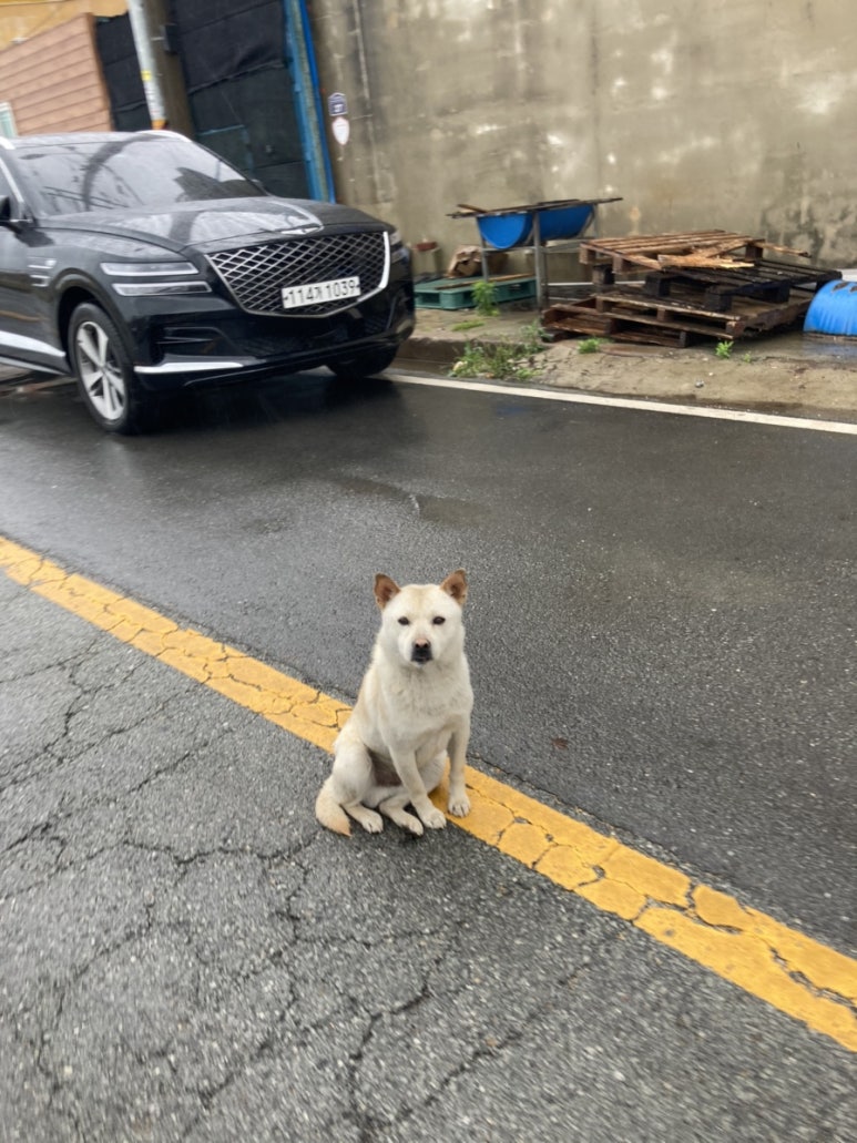 태양떡방앗간 이미지