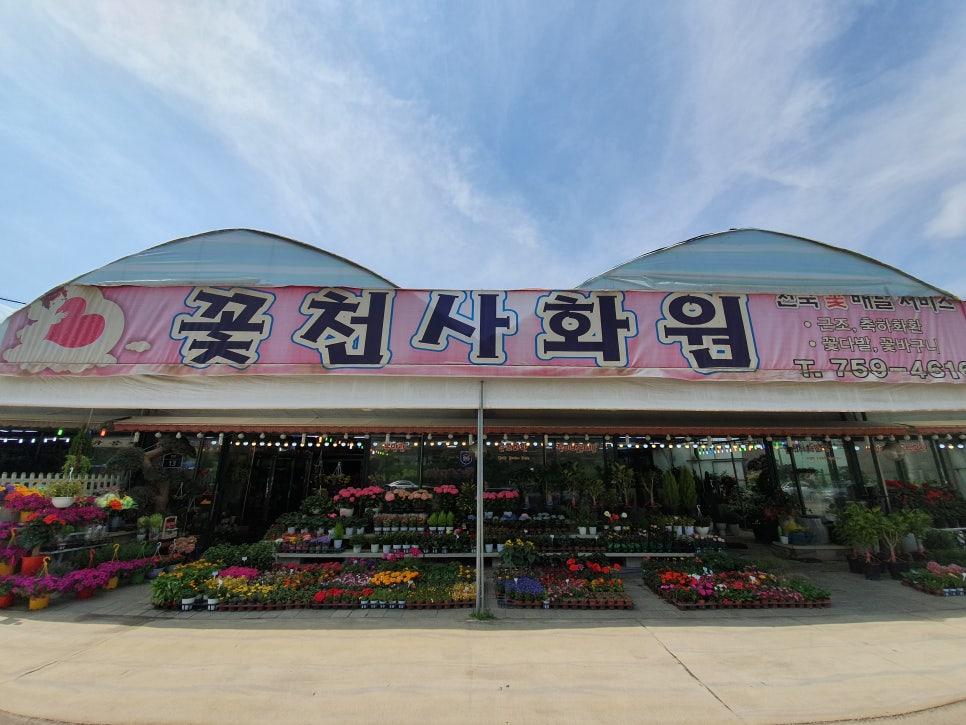 천사꽃화원 이미지