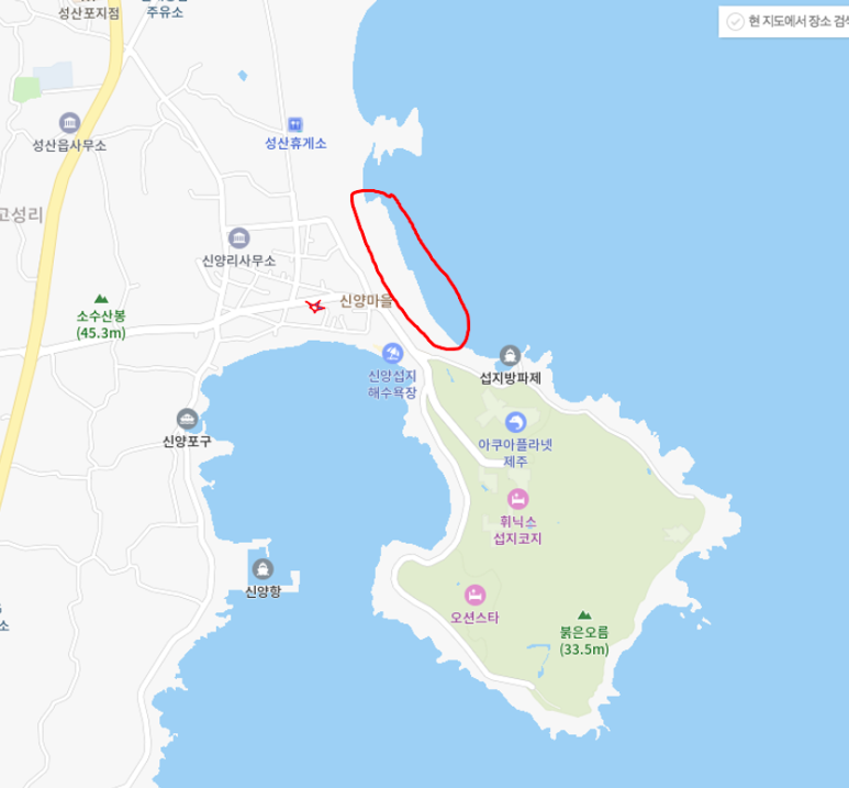 해변의돼지 이미지