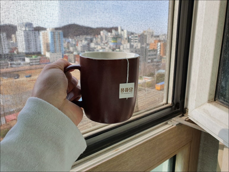 변약초 이미지