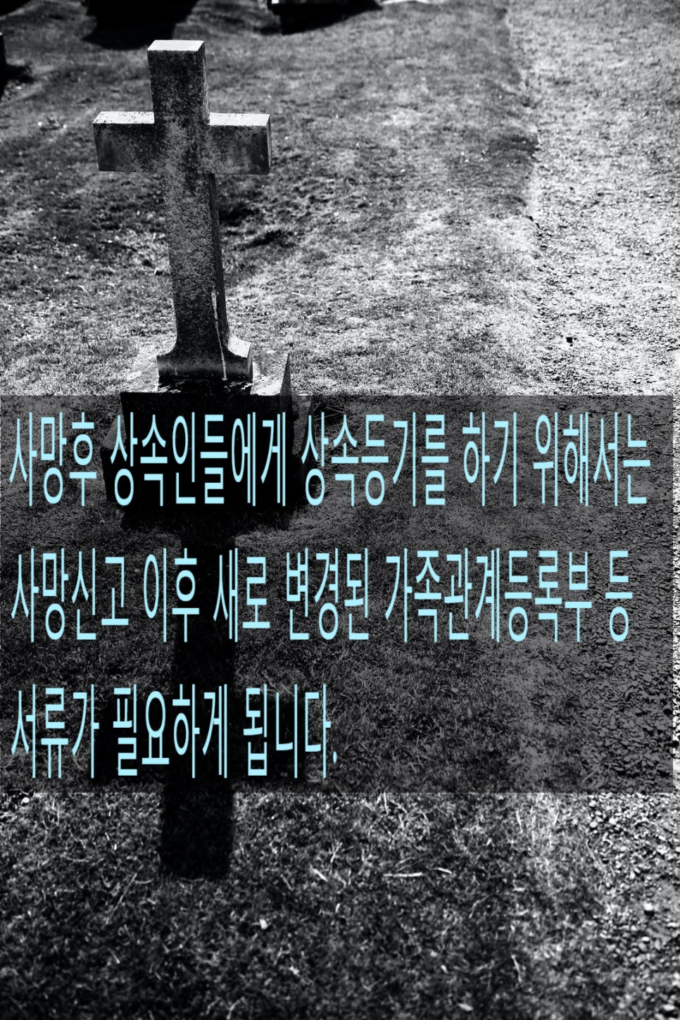 법무사김윤곤사무소 이미지
